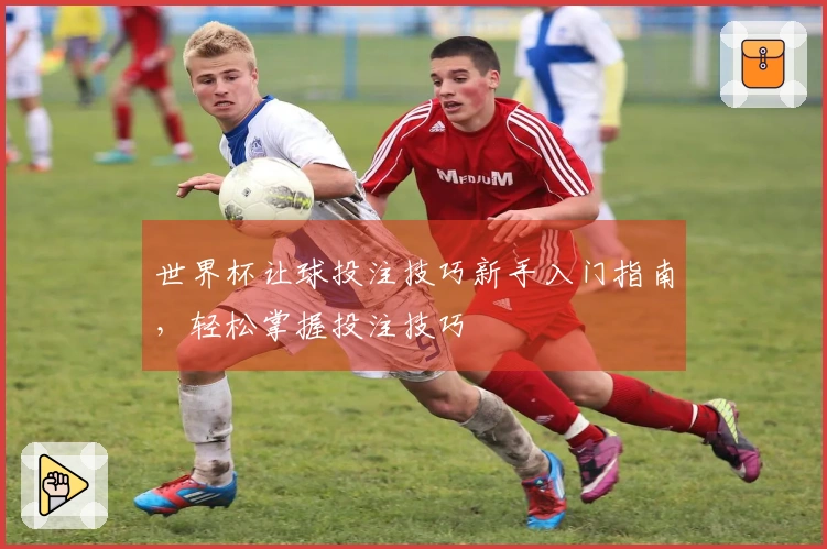 世界杯让球投注技巧新手入门指南，轻松掌握投注技巧