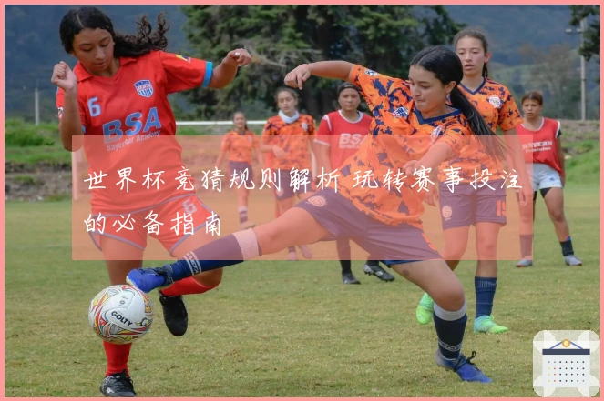 世界杯竞猜规则解析 玩转赛事投注的必备指南