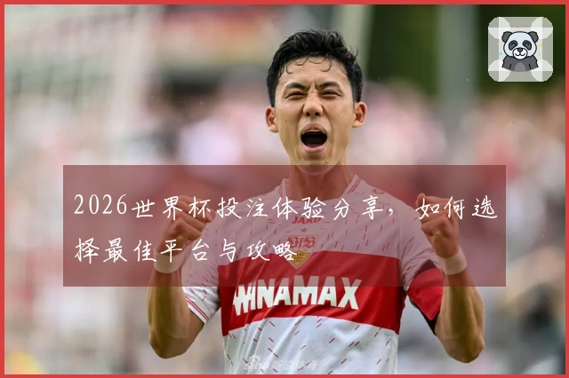 2026世界杯投注体验分享，如何选择最佳平台与攻略