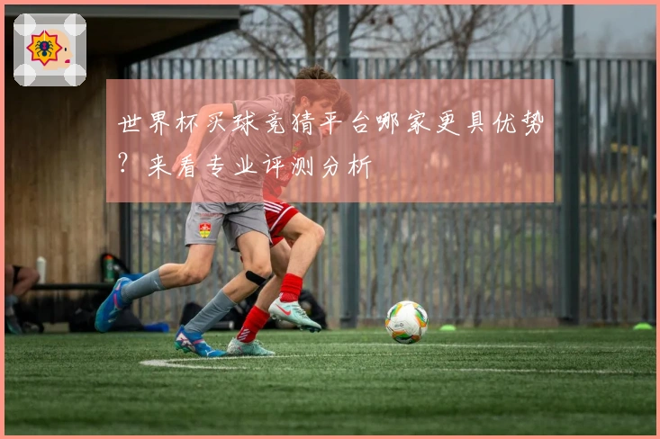 世界杯买球竞猜平台哪家更具优势？来看专业评测分析