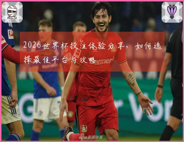 2026世界杯投注体验分享，如何选择最佳平台与攻略