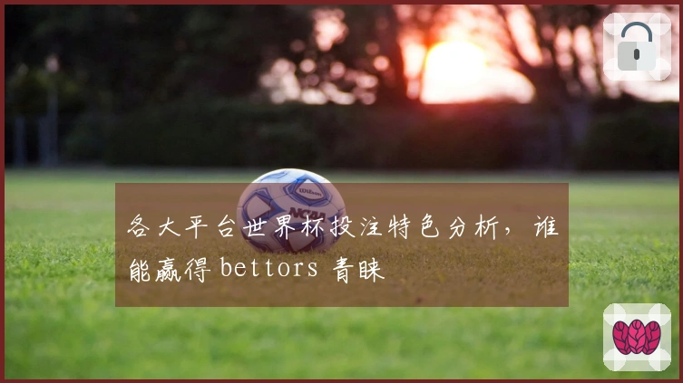 各大平台世界杯投注特色分析，谁能赢得 bettors 青睐