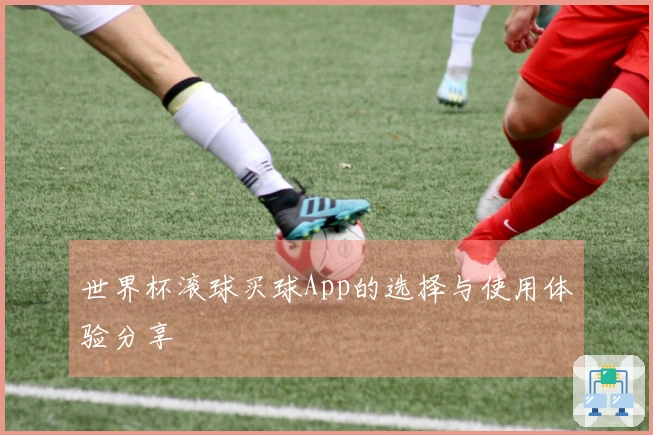 世界杯滚球买球App的选择与使用体验分享