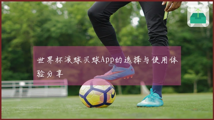 世界杯滚球买球App的选择与使用体验分享