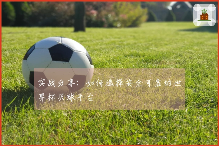 实战分享：如何选择安全可靠的世界杯买球平台