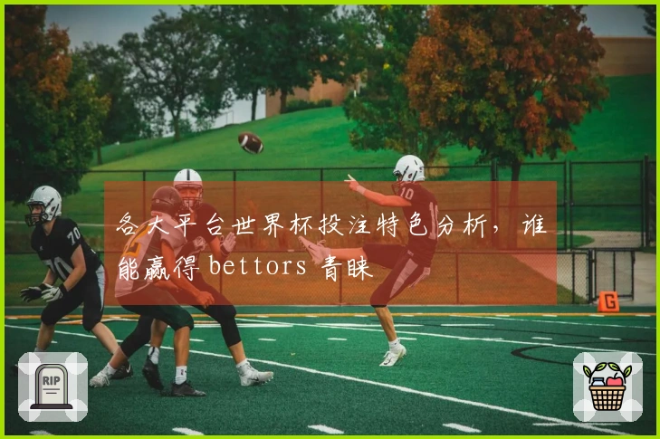 各大平台世界杯投注特色分析，谁能赢得 bettors 青睐
